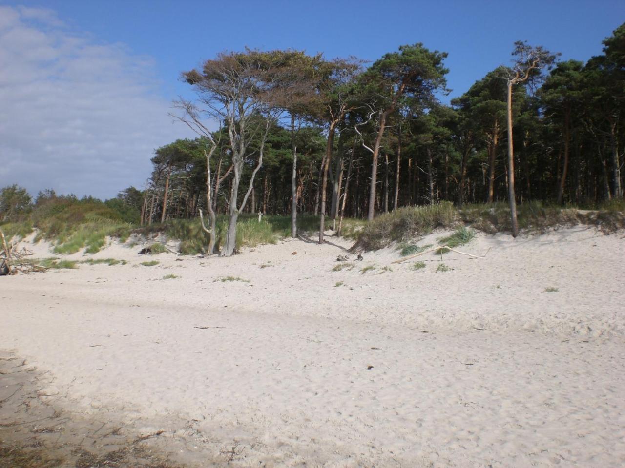 Achtern - Diek - Am Strand Цингст Екстериор снимка