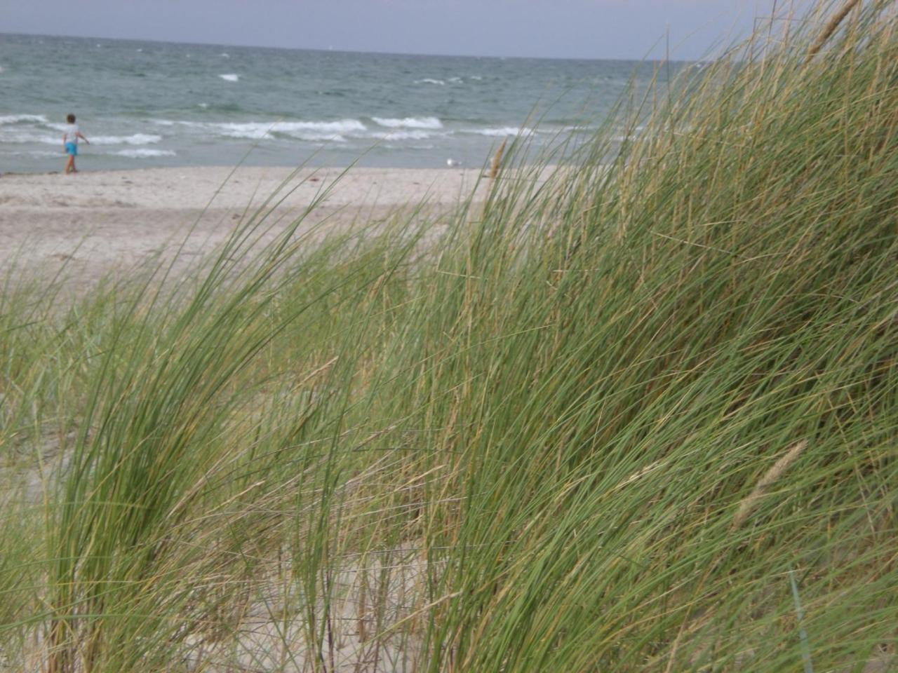 Achtern - Diek - Am Strand Цингст Екстериор снимка