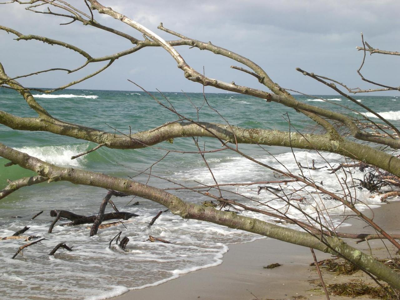 Achtern - Diek - Am Strand Цингст Екстериор снимка
