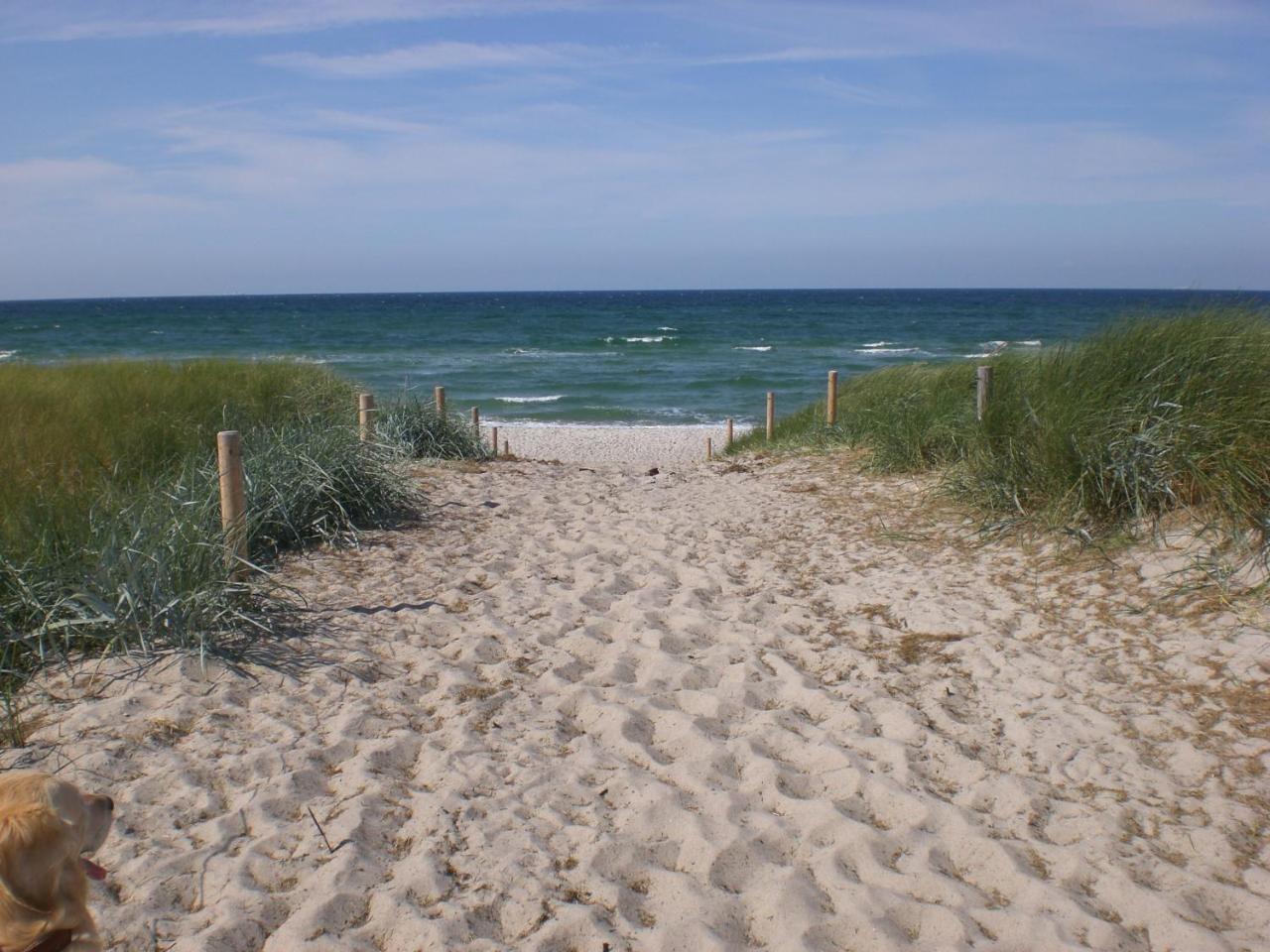 Achtern - Diek - Am Strand Цингст Екстериор снимка